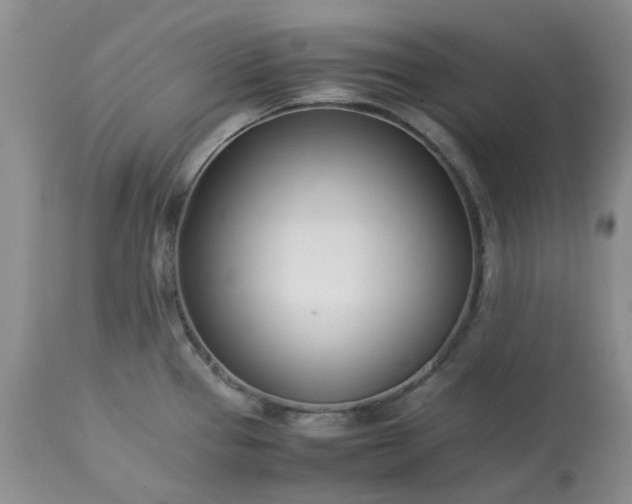 X0000113621337200910021818