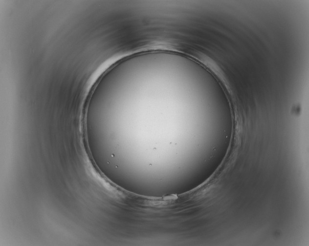 X0000113621339200910021818