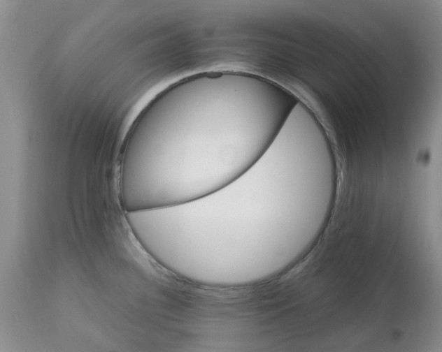 X0000113621340200910021818