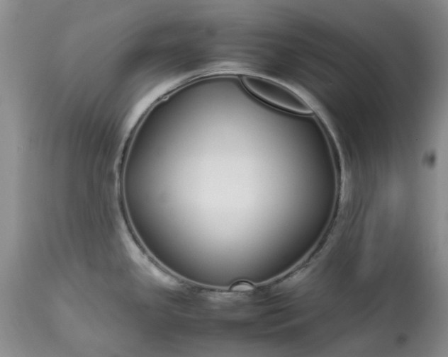 X0000113621341200910021818