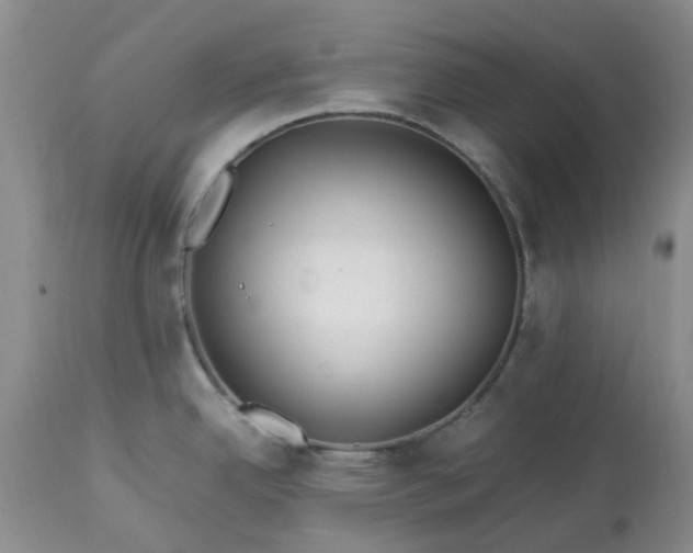 X0000113621342200910021818