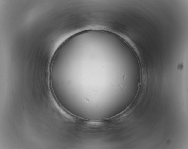 X0000113621343200910021818