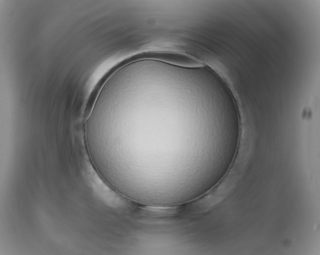 X0000113621344200910021818