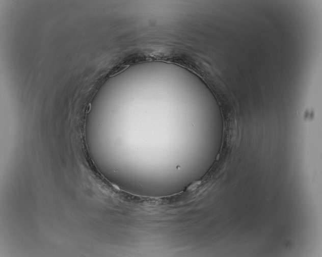 X0000113621345200910021818