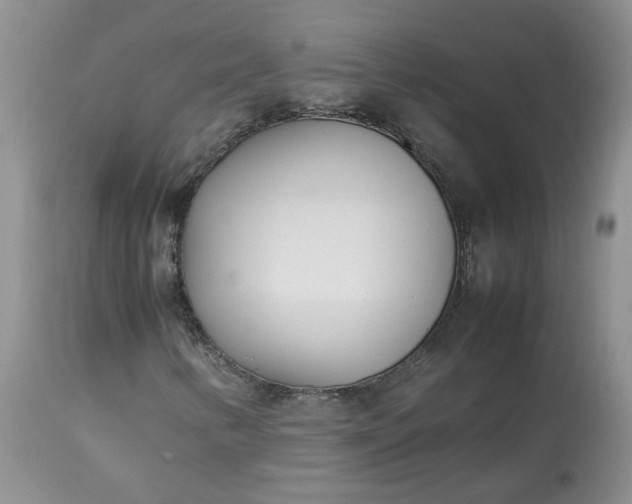 X0000113621346200910021818