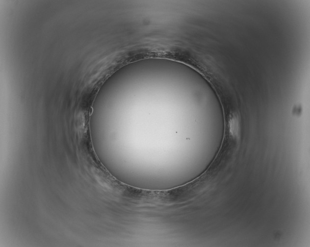 X0000113621347200910021818