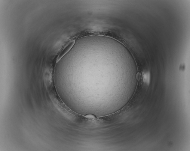 X0000113621348200910021818