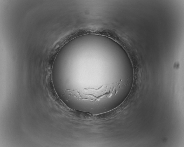 X0000113621349200910021818