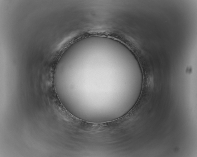 X0000113621350200910021818