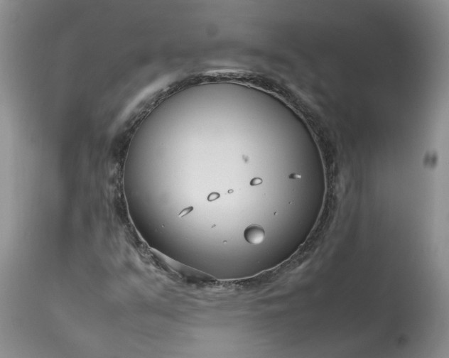 X0000113621351200910021818