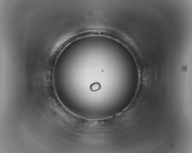 X0000113621352200910021818