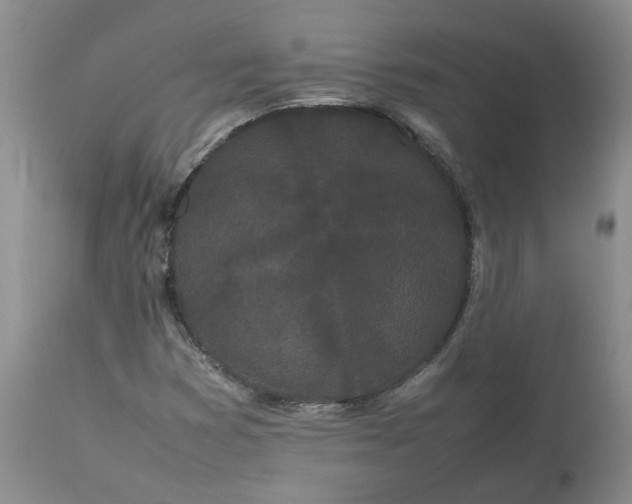 X0000113621353200910021818