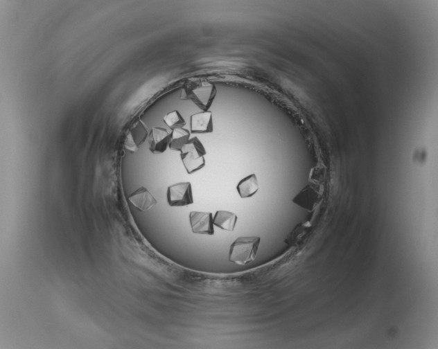 X0000113621354200910021818