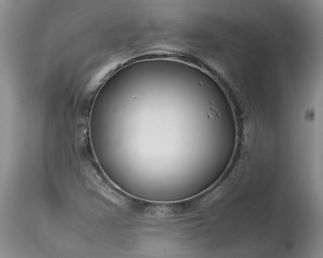 X0000113621355200910021818