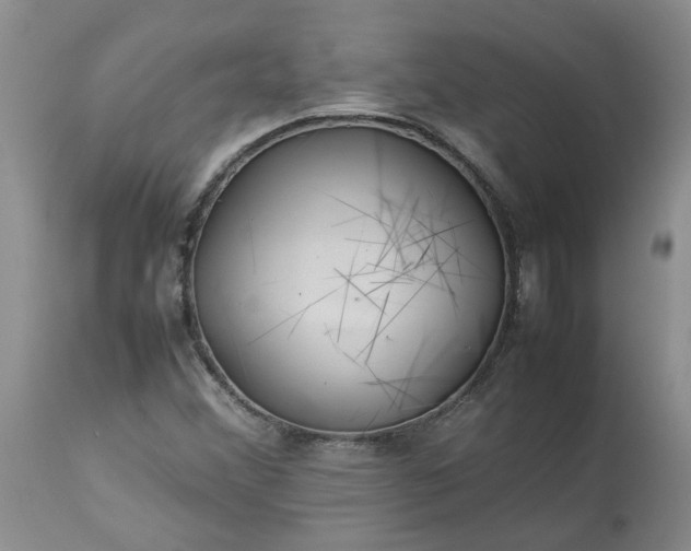 X0000113621356200910021818