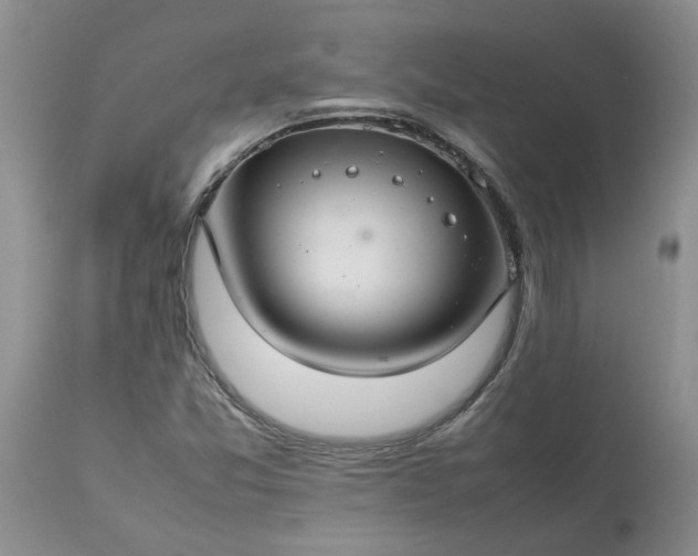 X0000113621357200910021818