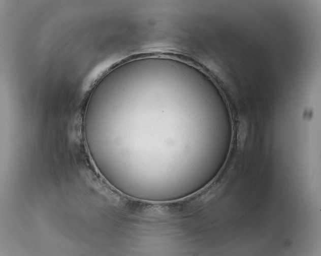 X0000113621358200910021818