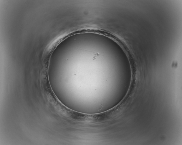 X0000113621359200910021817