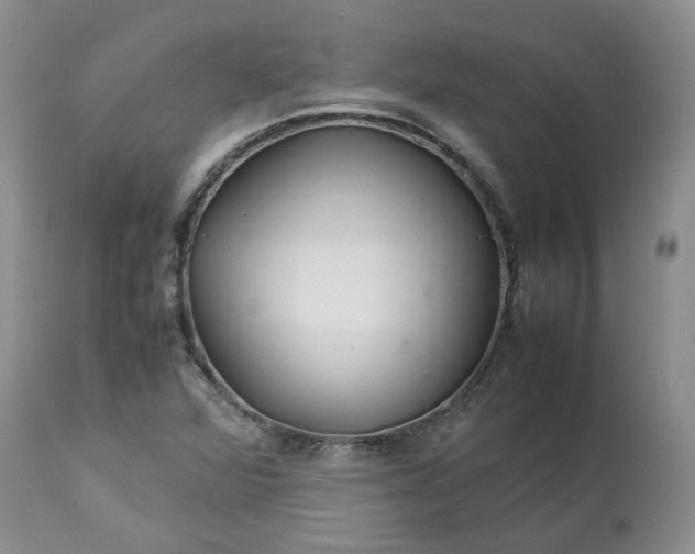 X0000113621360200910021817