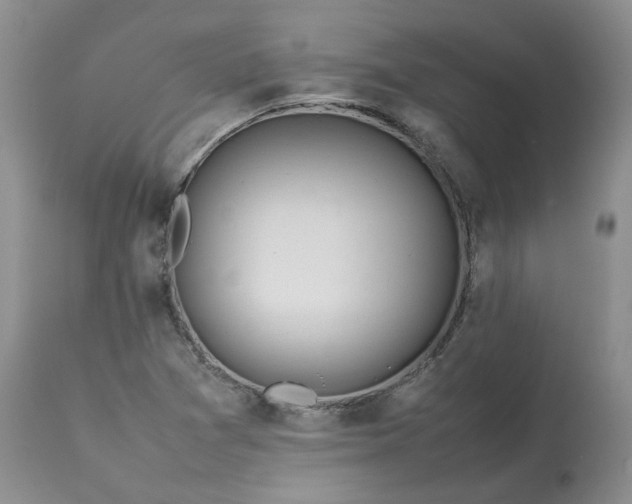 X0000113621361200910021817