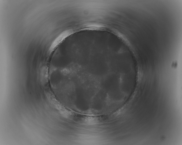 X0000113621362200910021817