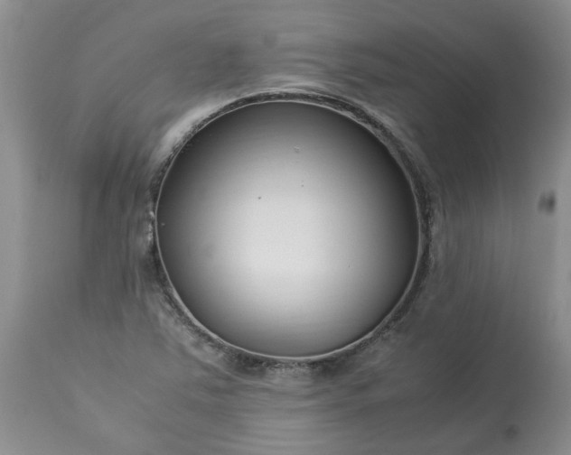 X0000113621363200910021817