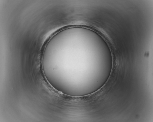 X0000113621364200910021817