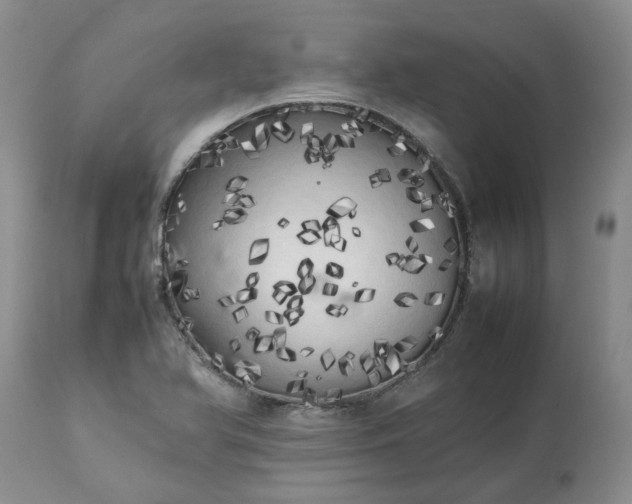 X0000113621366200910021817