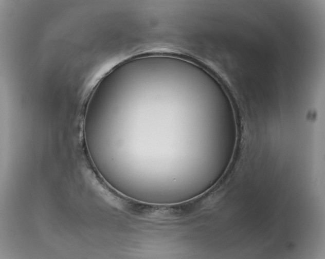 X0000113621367200910021817