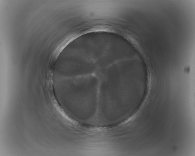 X0000113621369200910021817