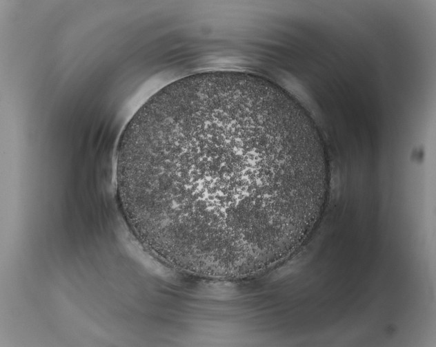 X0000113621370200910021817