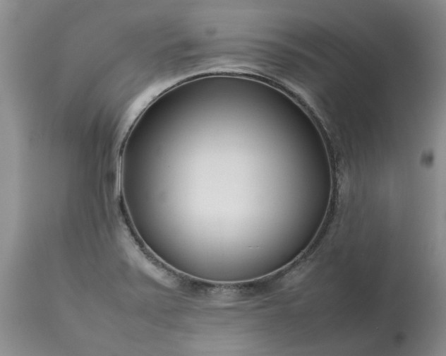 X0000113621371200910021817