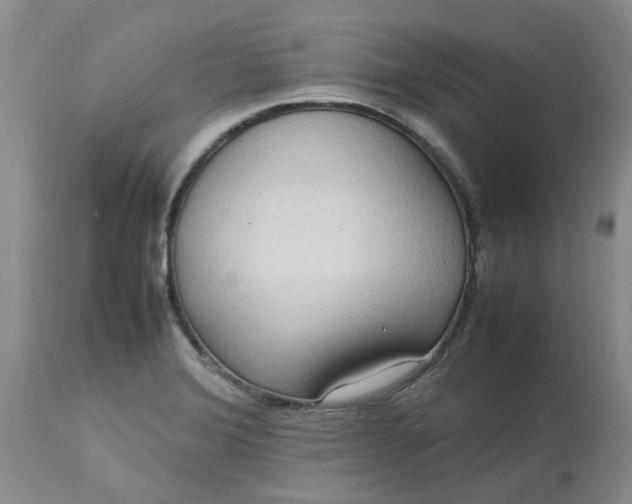 X0000113621372200910021817