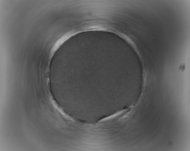 X0000113621373200910021817