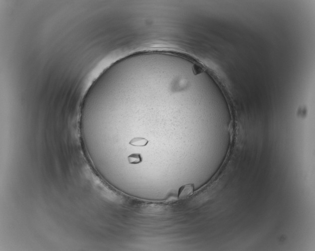 X0000113621374200910021817