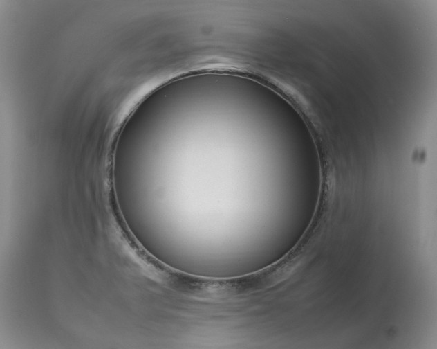 X0000113621375200910021817