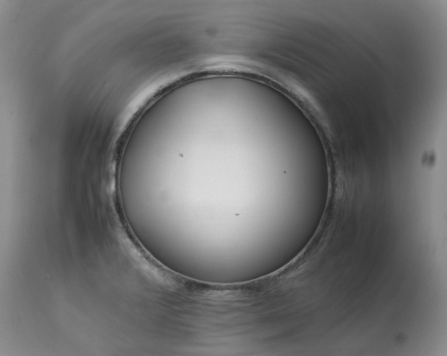 X0000113621376200910021817