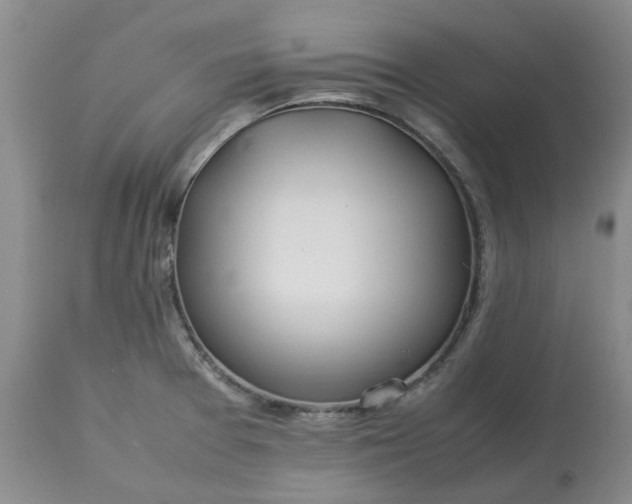 X0000113621377200910021817