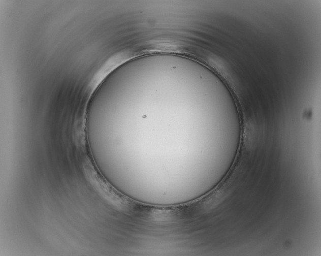 X0000113621378200910021817