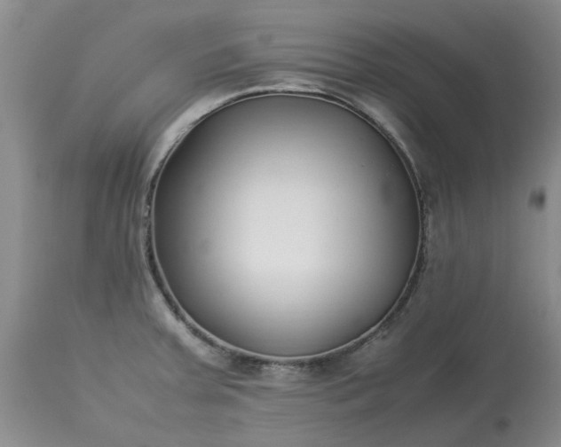 X0000113621379200910021817