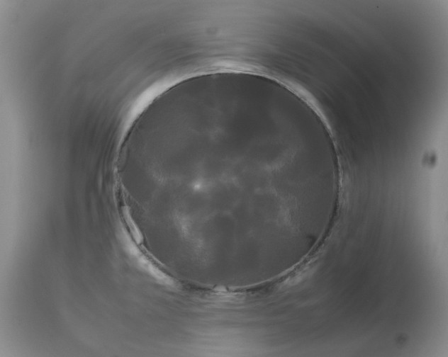 X0000113621381200910021817