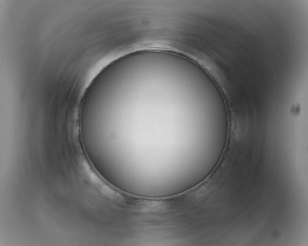 X0000113621382200910021817