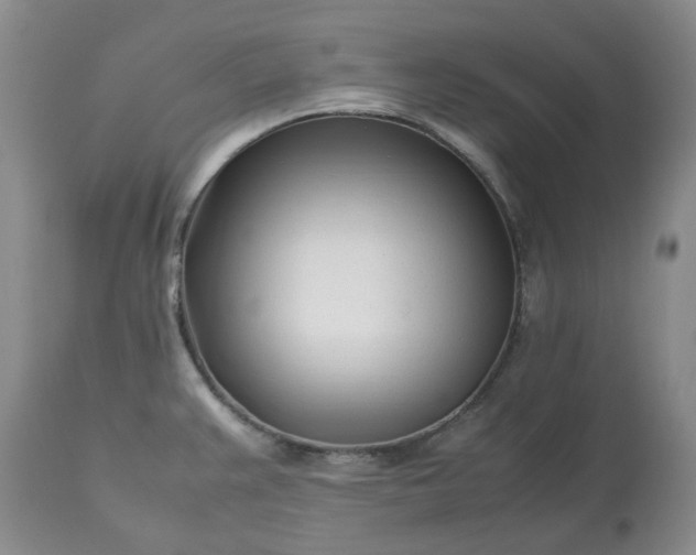 X0000113621383200910021817