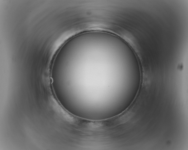 X0000113621384200910021817