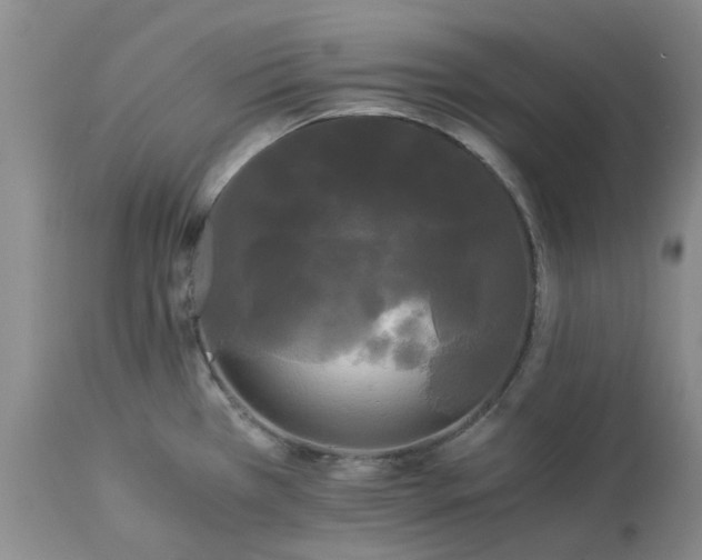 X0000113621385200910021817