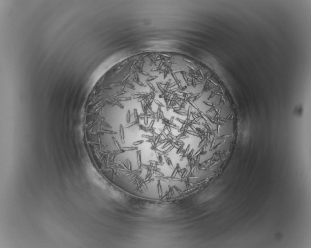 X0000113621386200910021817