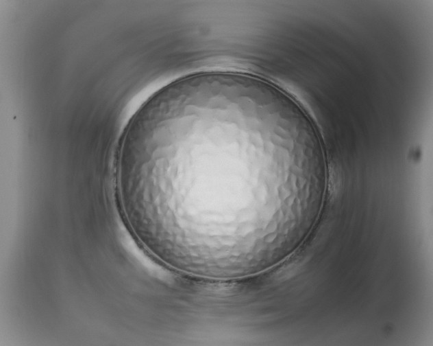 X0000113621387200910021817