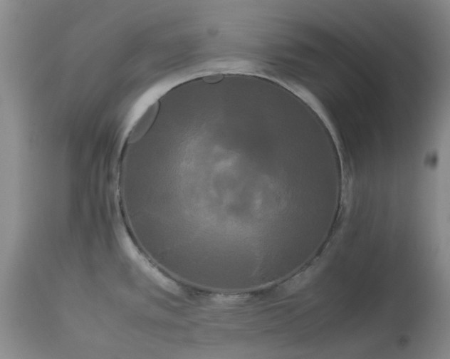 X0000113621389200910021817