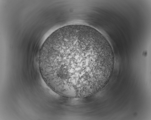 X0000113621390200910021817