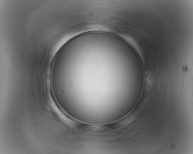 X0000113621391200910021817